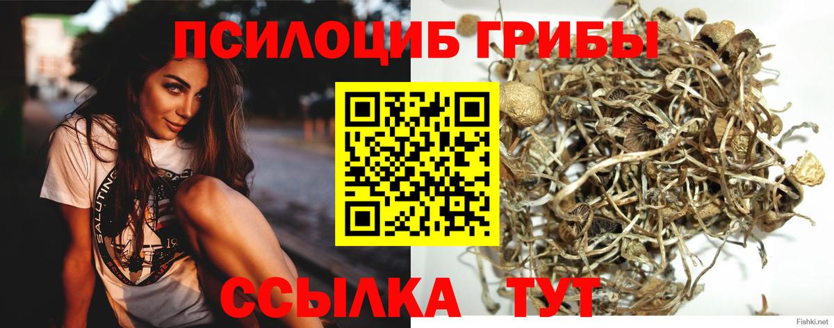 Галлюциногенные грибы MAGIC MUSHROOMS Нижнеудинск